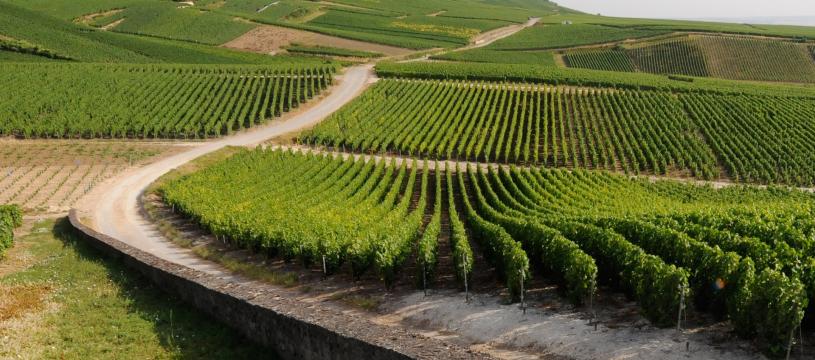 Atelier Dégustation Vins Jeudi 27 novembre à 19h00